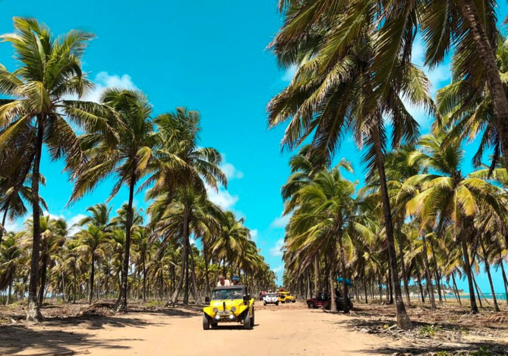 ONDE FICAR E O QUE FAZER EM PORTO DE GALINHAS?