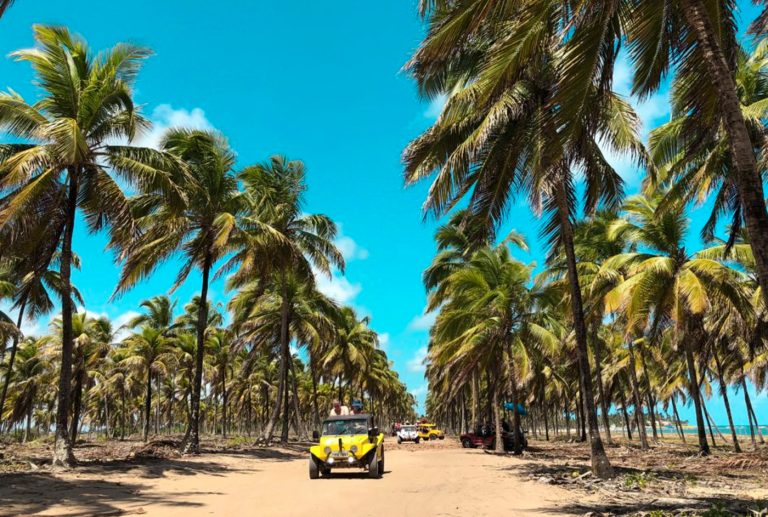 ONDE FICAR E O QUE FAZER EM PORTO DE GALINHAS?