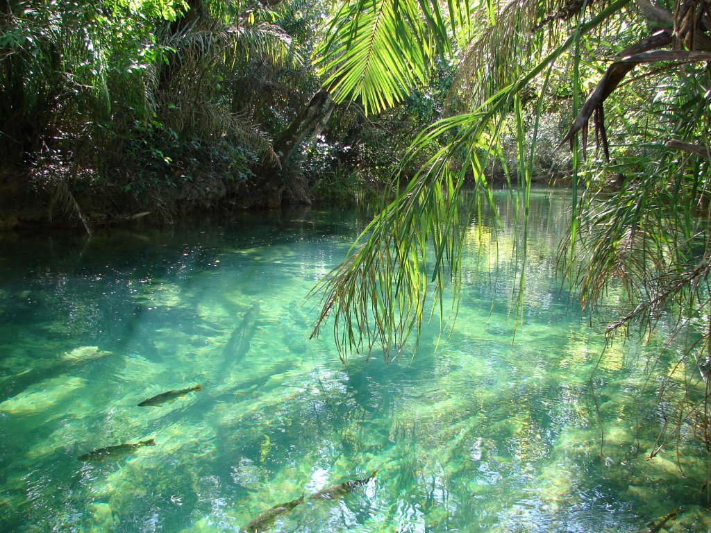 melhor-época-para-viajar-a-Bonito-Balneário