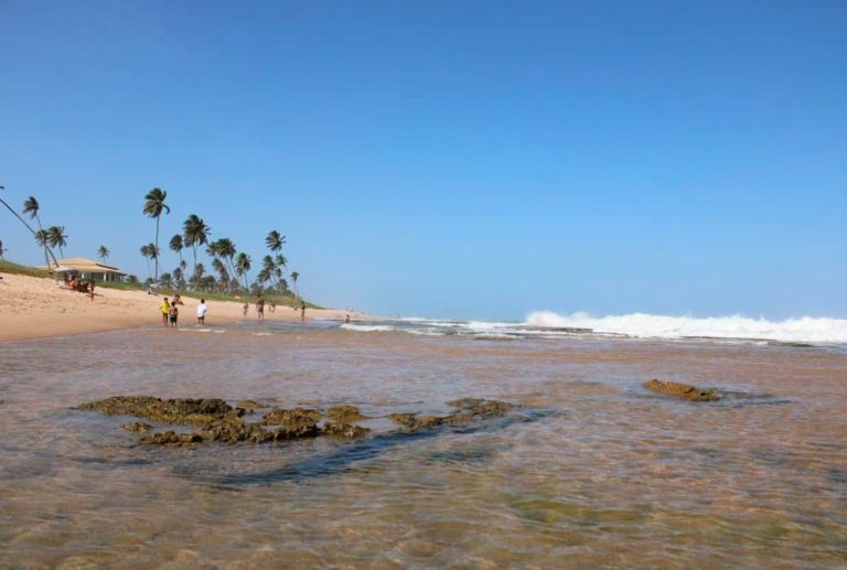 4 praias do norte da Bahia para conhecer no verão