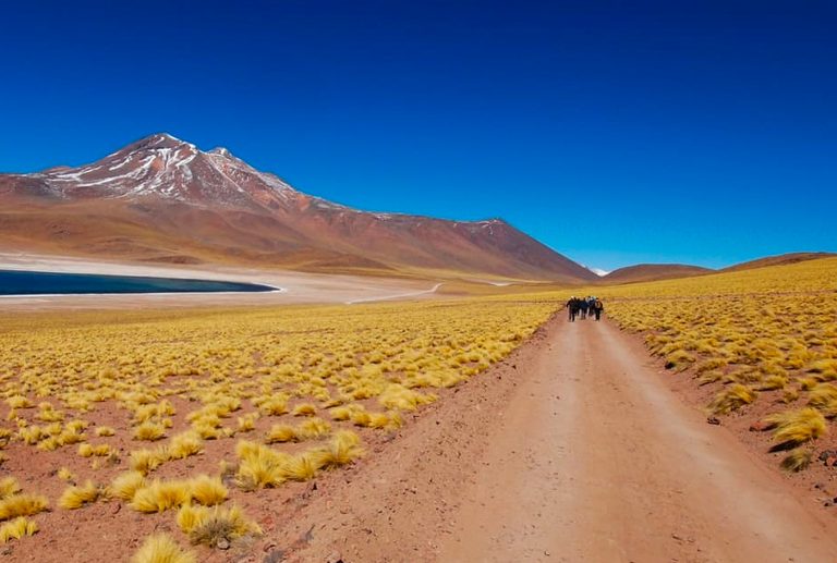 Chile reabre para brasileiros vacinados, em outubro