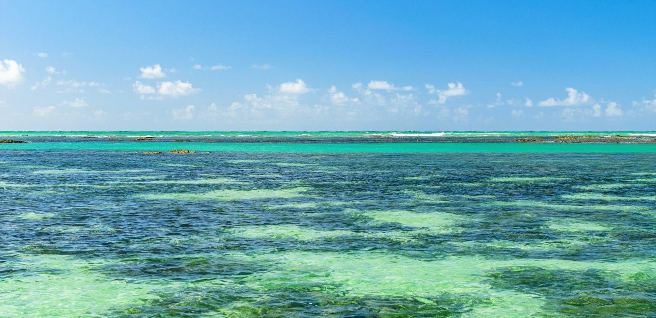 Guia completo de viagem para Maragogi