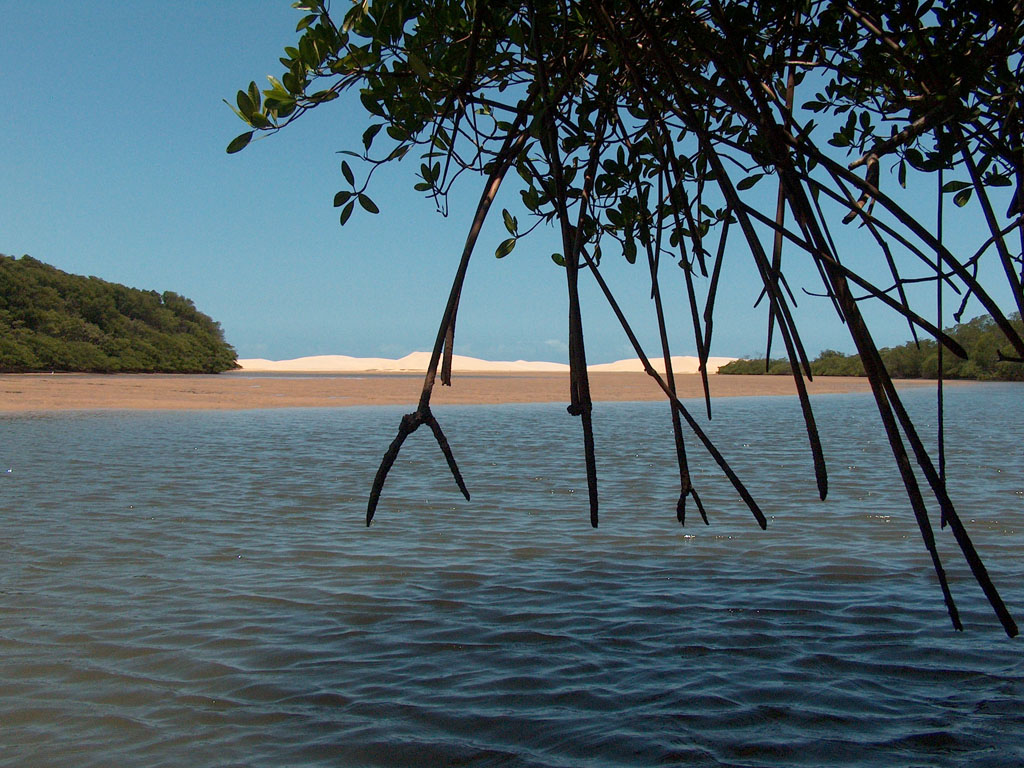 Delta do Parnaíba no Maranhão