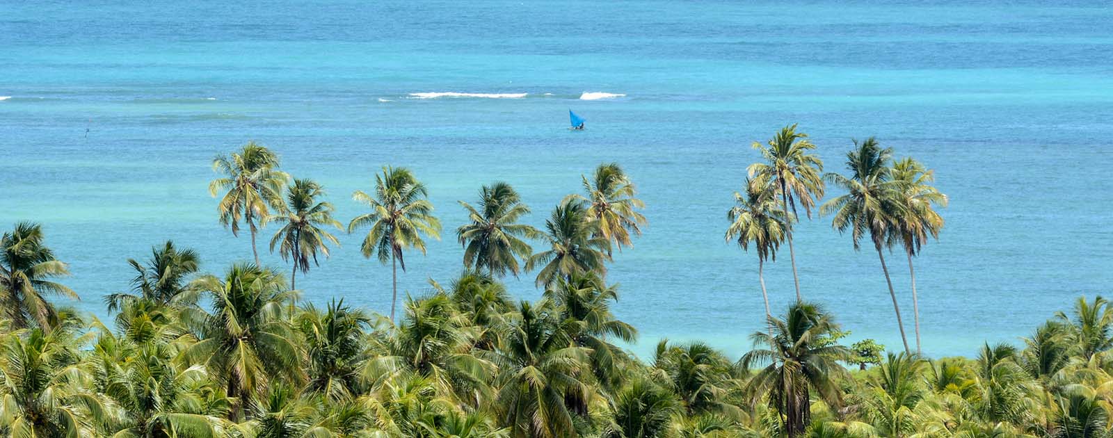 O que fazer em Alagoas: roteiro de 7 dias