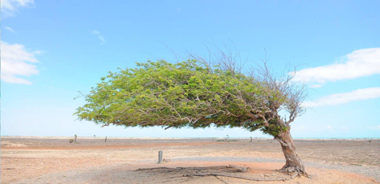 Conheça as melhores praias do Piauí