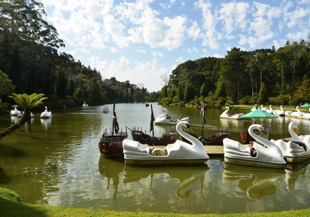 Tudo que você precisa para uma viagem a Gramado