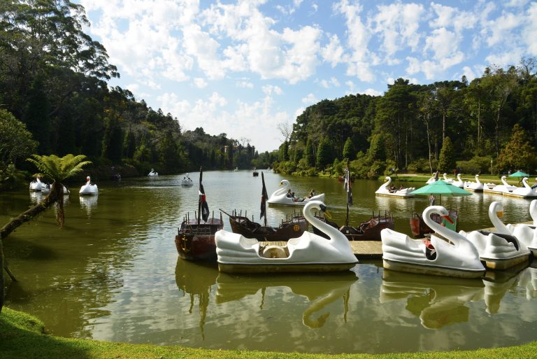 Tudo que você precisa para uma viagem a Gramado