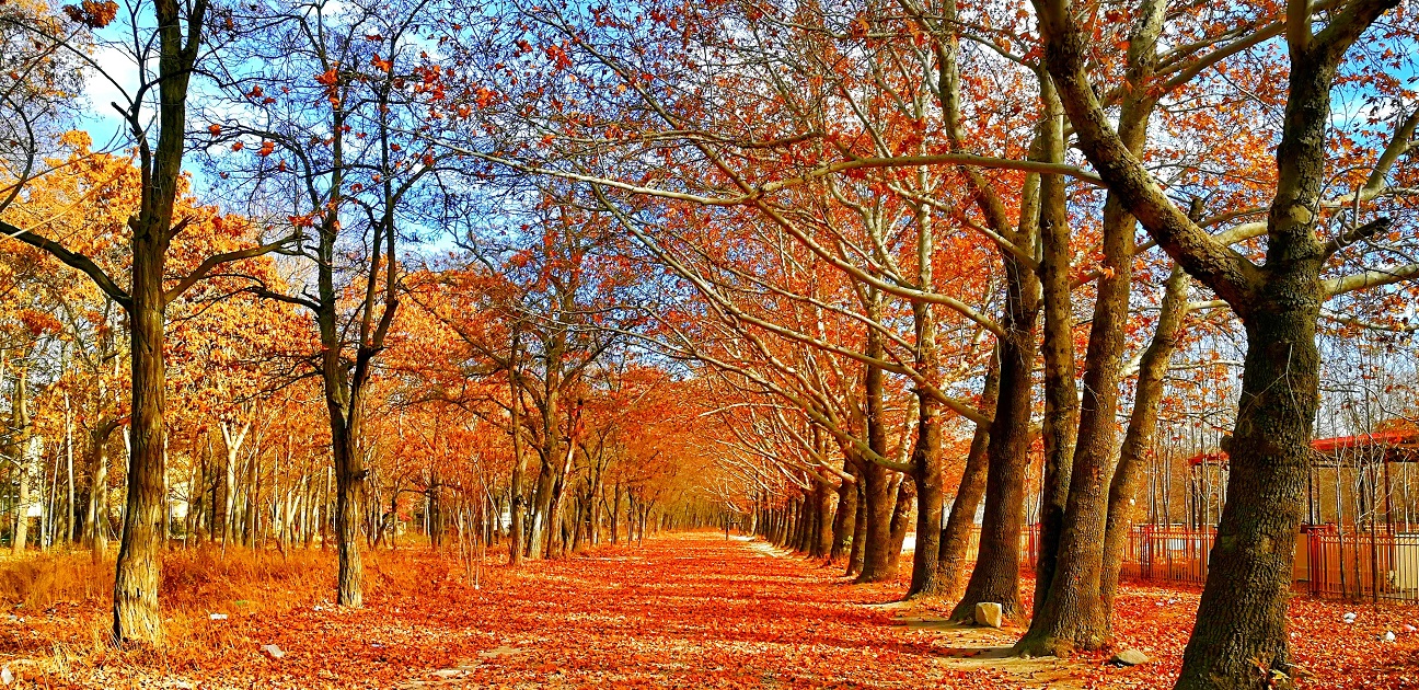 Lugares para visitar no outono do hemisfério norte