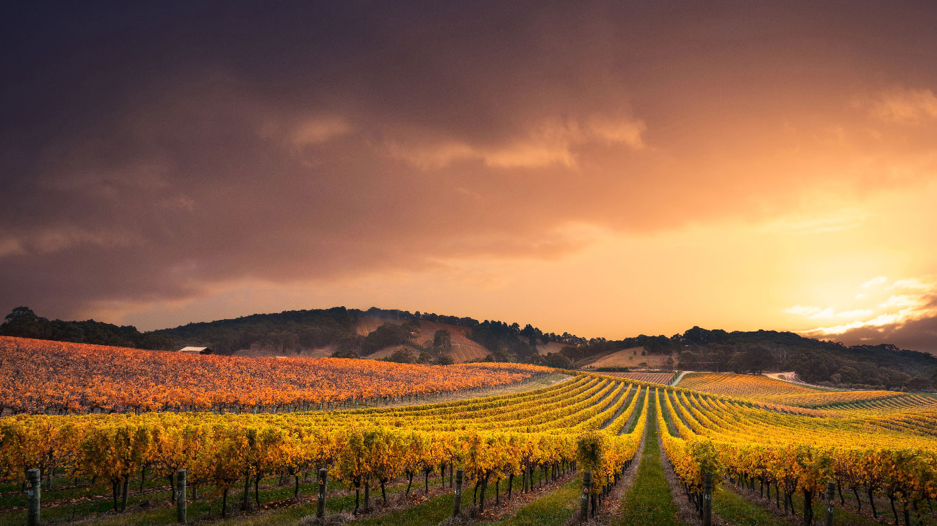 EPM Wine Club – Vinhos por Assinatura