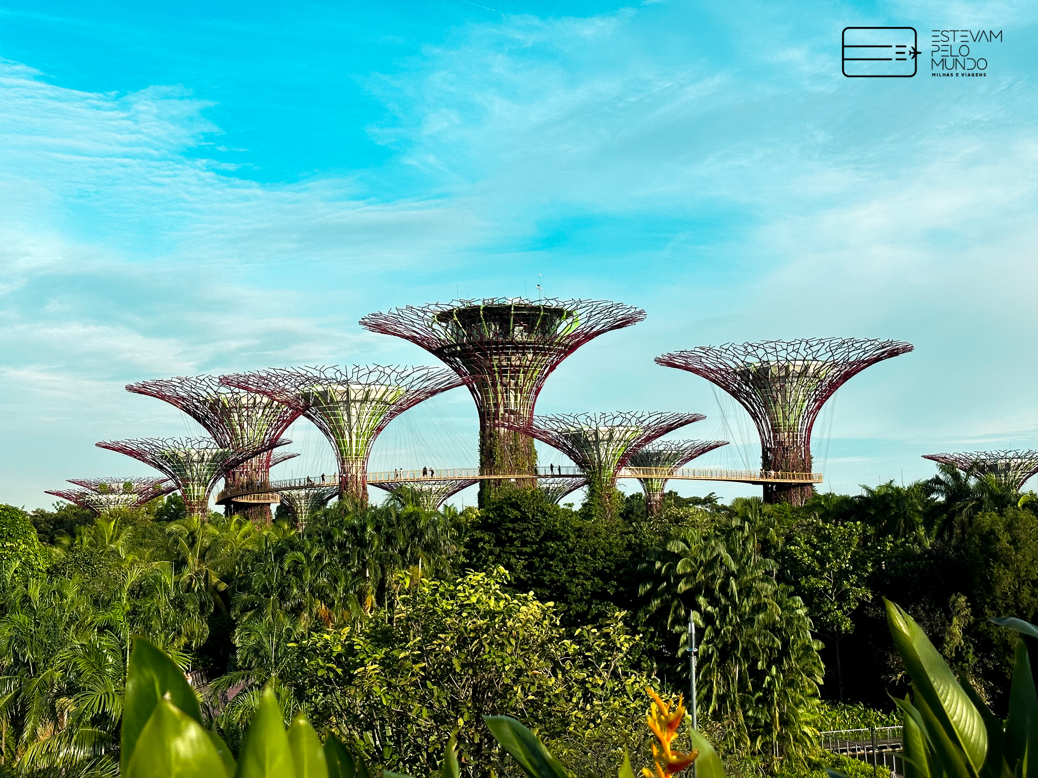 Dicas de Singapura, a pérola da Ásia