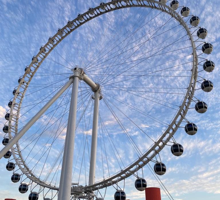 Conheça a maior roda gigante da América Latina