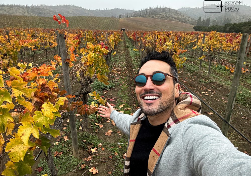 Como é dormir em uma vinícola biodinâmica no Chile