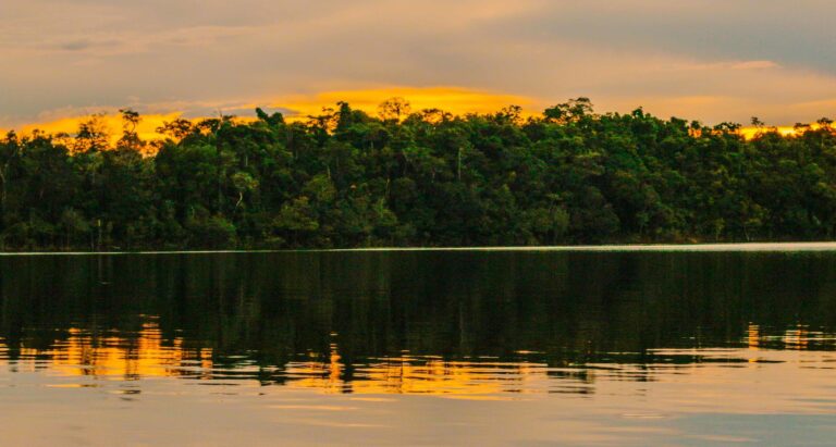Passeios para a Amazônia saindo de Manaus