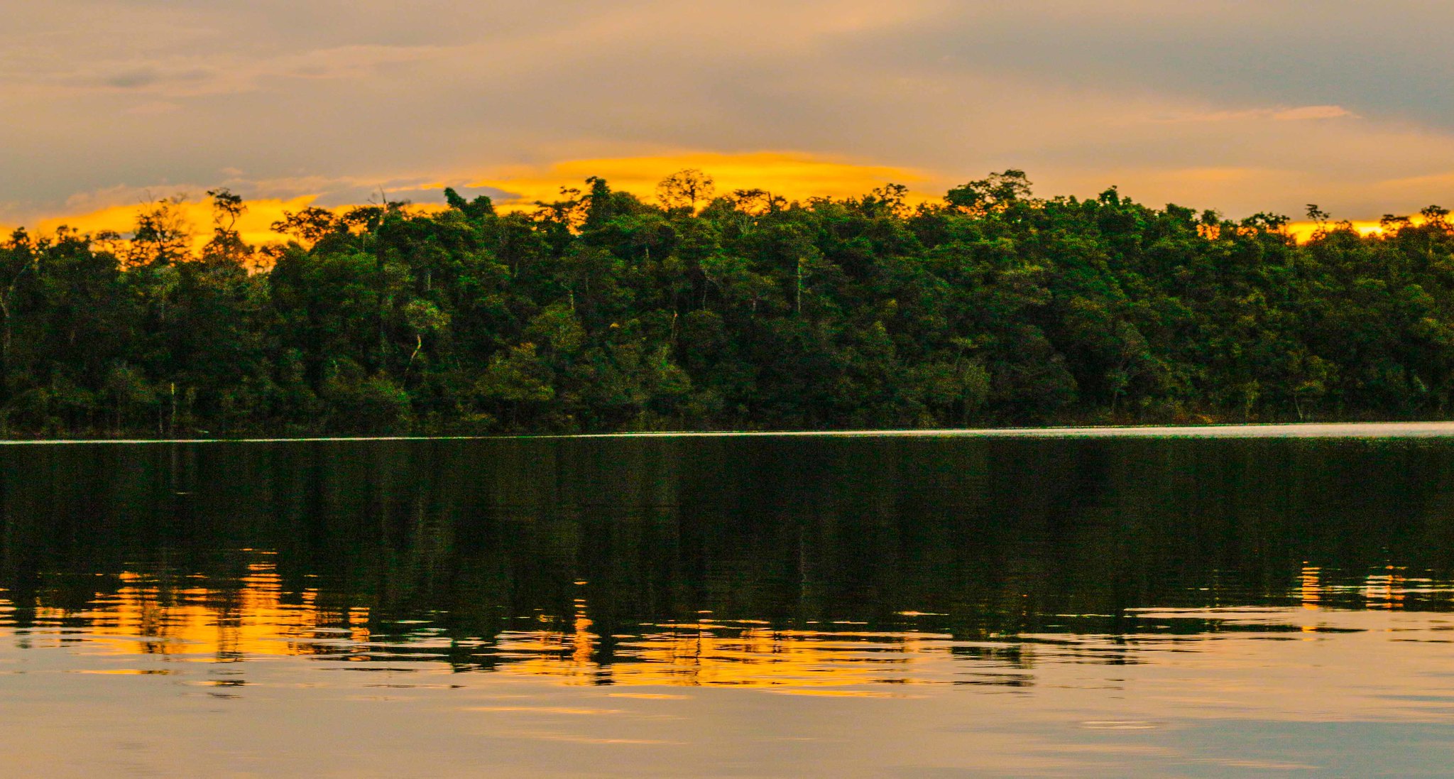 Passeios para a Amazônia saindo de Manaus