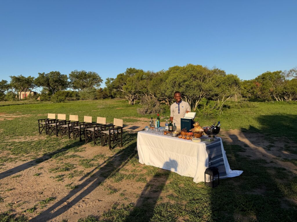 Safári no Parque Nacional Kruger, na África do Sul